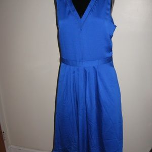 Banana Republic Electric Fit and Flare Dress